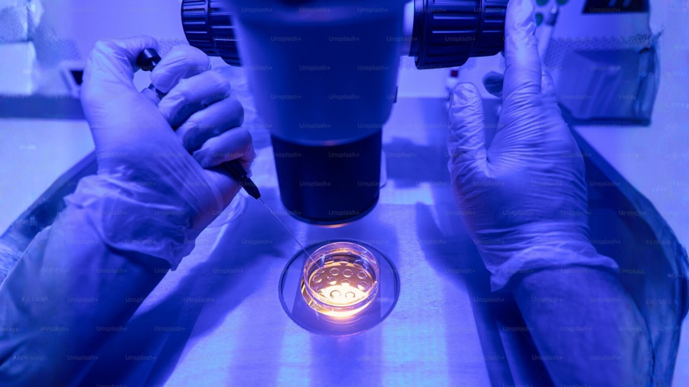 IVF Success Factors Explained